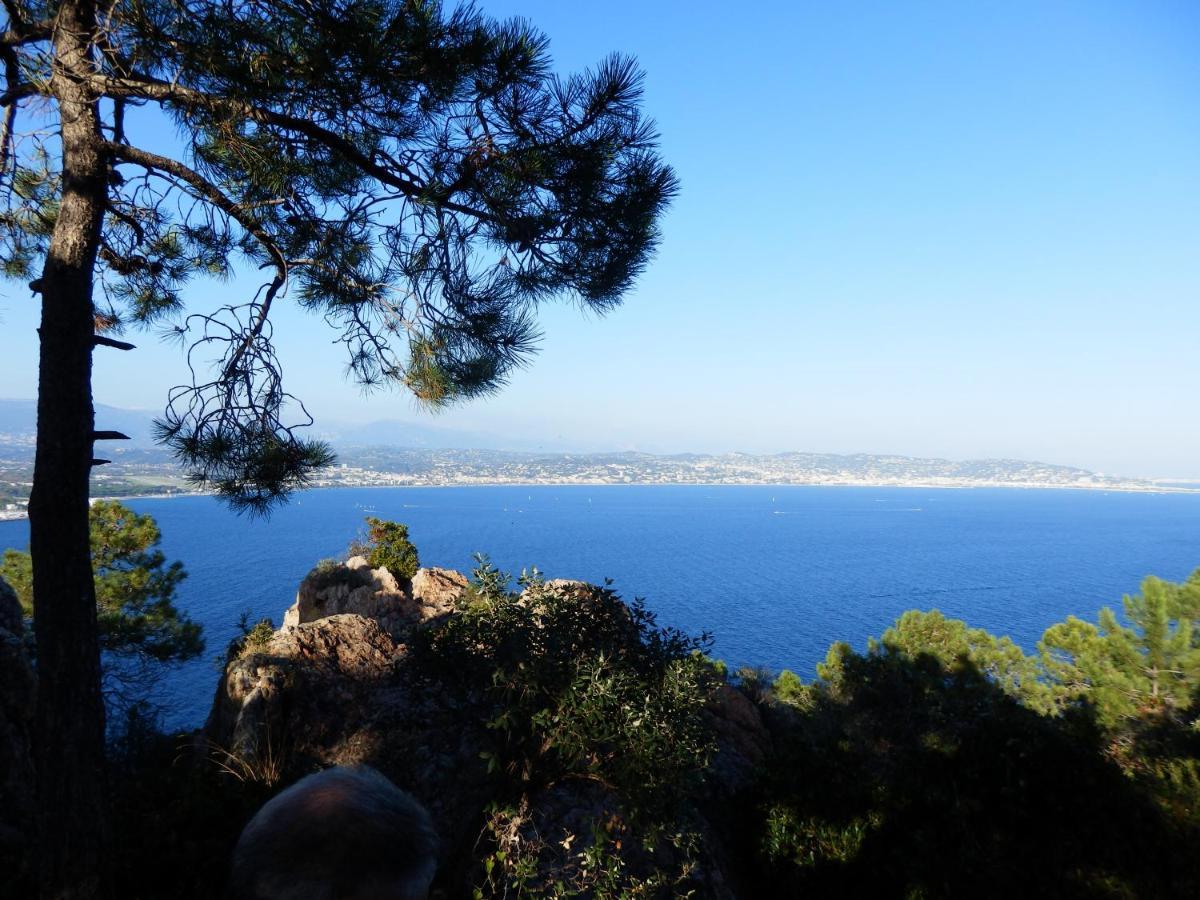 Esterel Terrasses, Roof Top, Plage, Parking Payant Cannes Exterior photo
